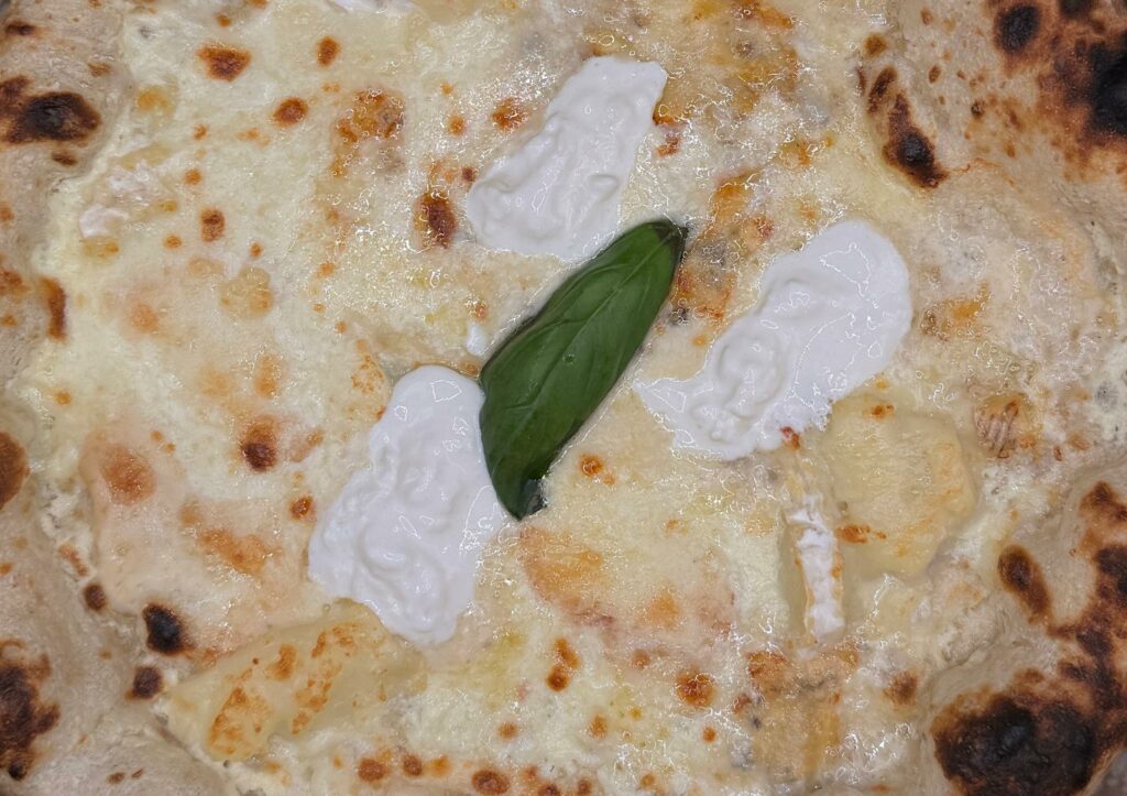 whatsapp image 2025 10 26 at 15.23.54