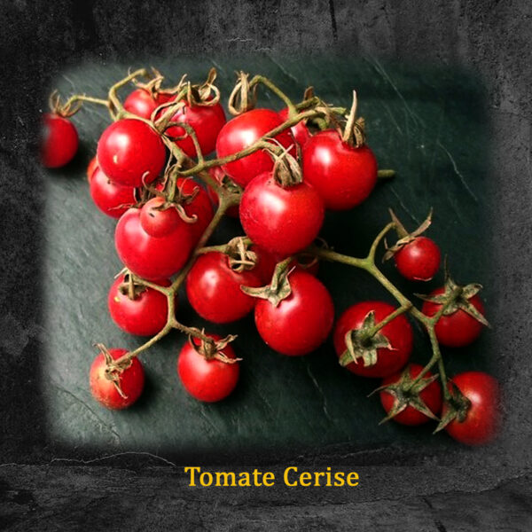 Tomate Cerise